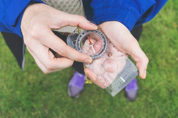 Les meilleurs parcours de moto pour découvrir la faune sauvage